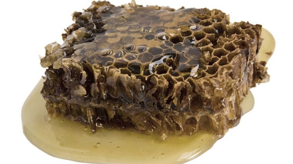 Propolis in Funget